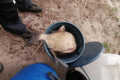 WhatsApp-Image-2026-04-20-at-20.14.27p