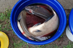 WhatsApp-Image-2026-04-20-at-20.14.30k